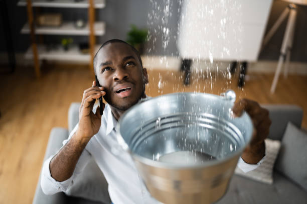 Best Sewage cleanup and water damage restoration  in Kountze, TX