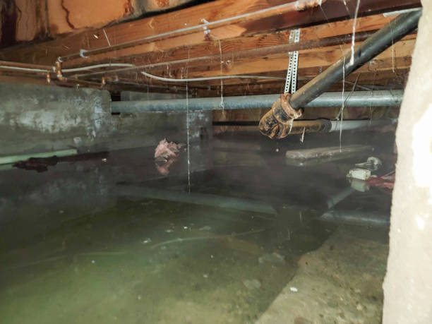 Local water damage restoration in Kountze, TX