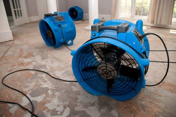 24/7 water damage repair in Kountze, TX