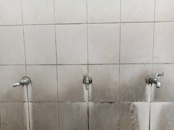 Best Emergency water damage restoration  in Kountze, TX