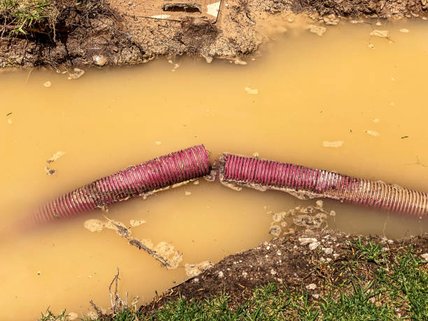 24/7 water damage repair in Kountze, TX